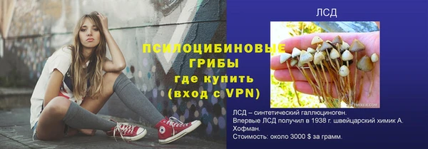 индика Алзамай