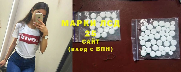 индика Алзамай