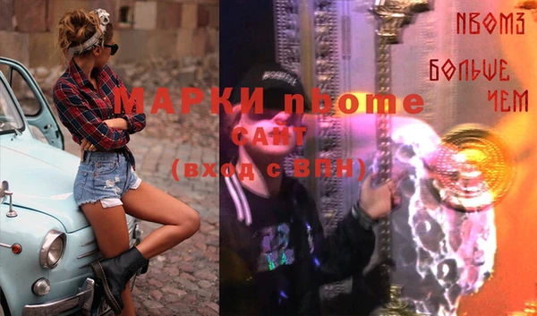 индика Алзамай