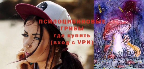 герыч Дедовск