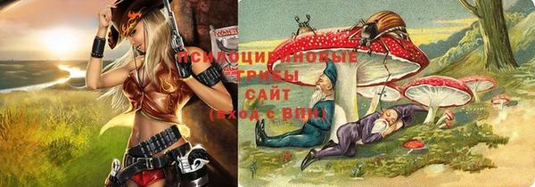 спиды Алексин