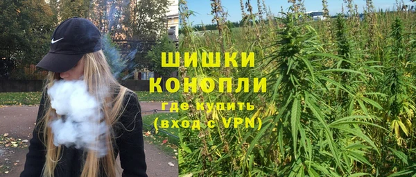 индика Алзамай