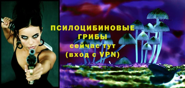 спиды Алексин
