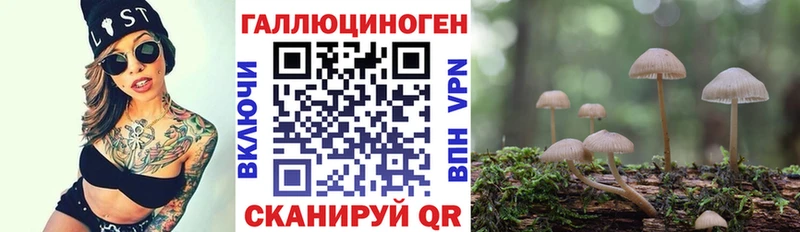 закладка  Кемь  Псилоцибиновые грибы GOLDEN TEACHER 